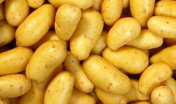 Manger trop de pommes de terre favoriserait les risques de diabète