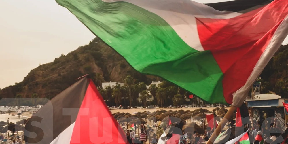 وصول أسطول الصمود العالمي إلى تونس: تعرف على عدد المشاركين