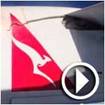 Un nouveau serpent dans l’avion de Qantas Airways