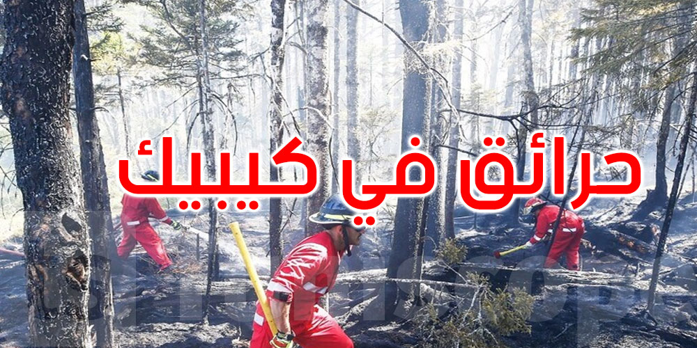 كندا: مقاطعة كيبيك تطلب دعما دوليا لمكافحة حرائق الغابات