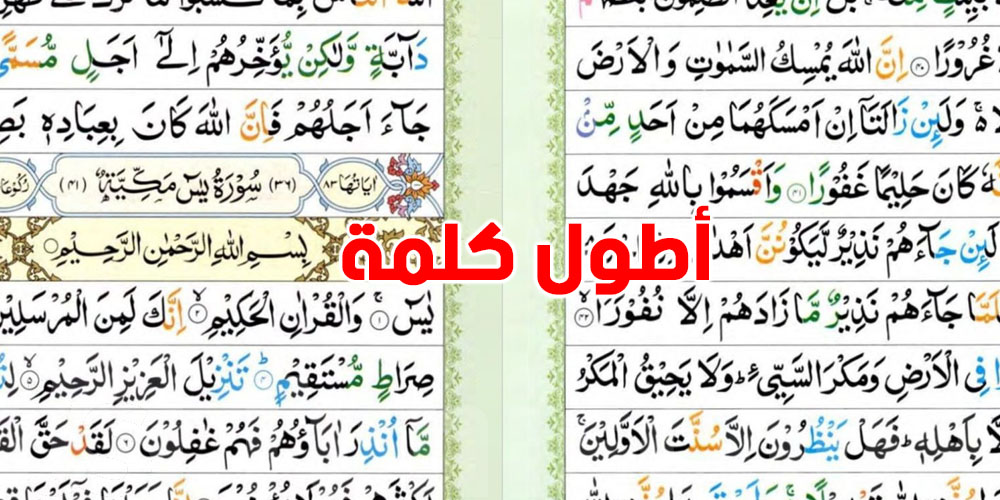 شنّوة أطول كلمة في القرآن الكريم؟