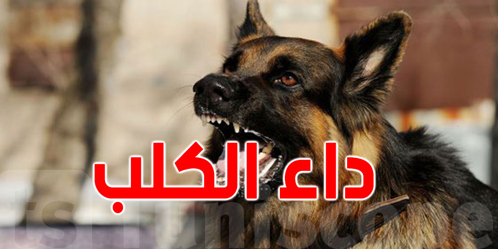 توزر: عدم تسجيل أي حالة لداء الكلب