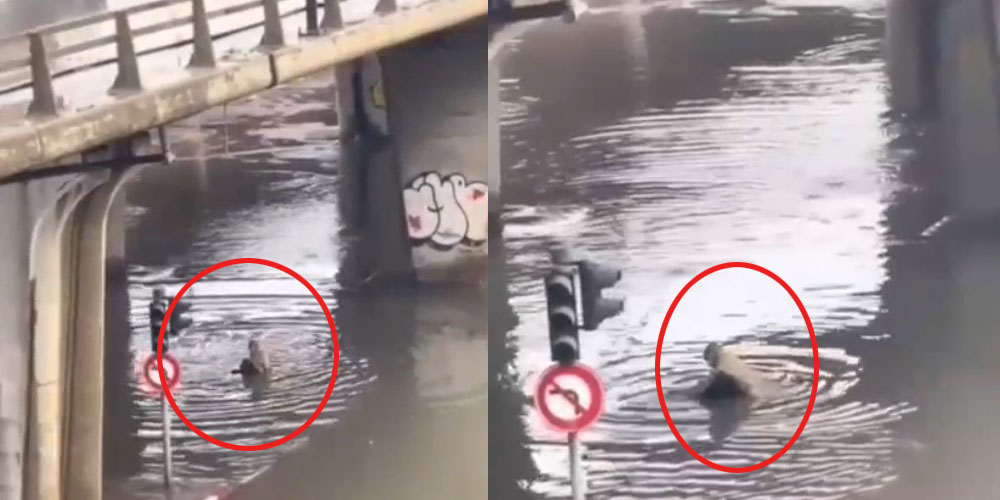 عاجل: شنيا حكاية العائلة الي تتعرّف على قريبها المفقود بعد فيديو إنقاذه من الأمطار؟