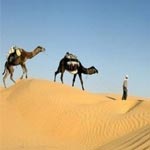 Le Festival International du Tourisme saharien et sportif en Tunisie