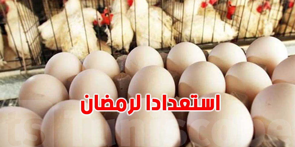رمضان 2025: كميات كافية من الدواجن والبيض للتونسيين