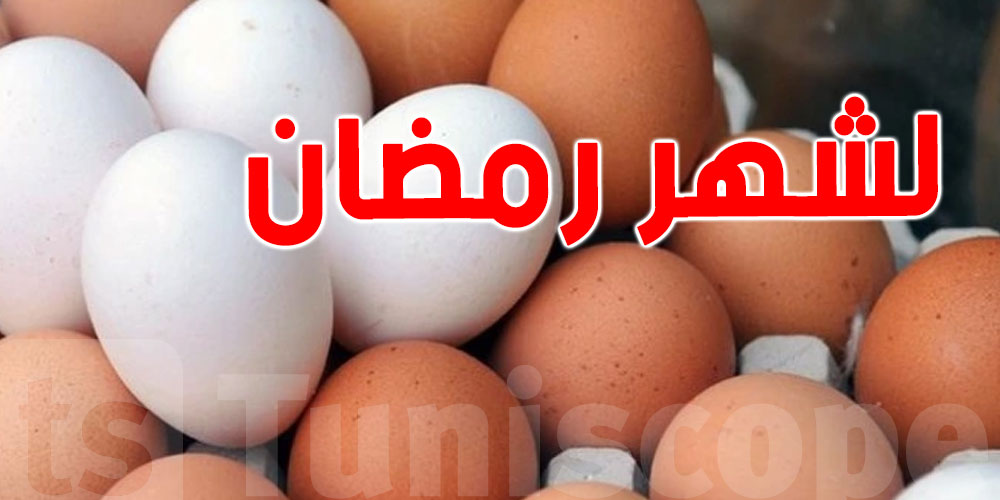 وزارة التجارة: تخزين 30 مليون ''بيضة'' لشهر رمضان