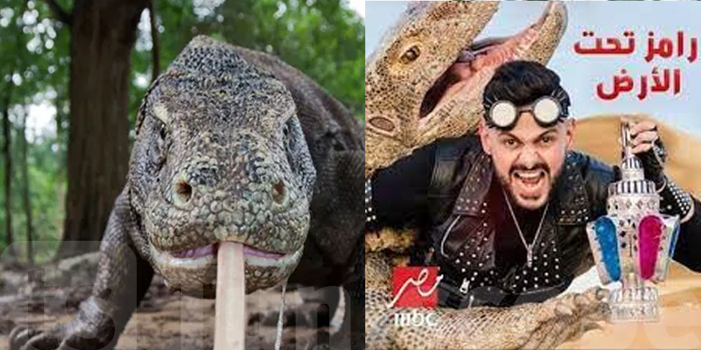 ما قصة حيوان ''الكومودو'' الذي سبق و أن ظهر في مقالب رامز ؟