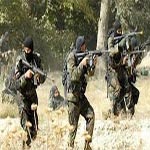 Kasserine : Un groupe de salafistes encerclé par les forces de sécurité