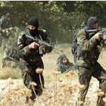 L’armée nationale à la poursuite de 5 terroristes à Sakiet Sidi Youssef 