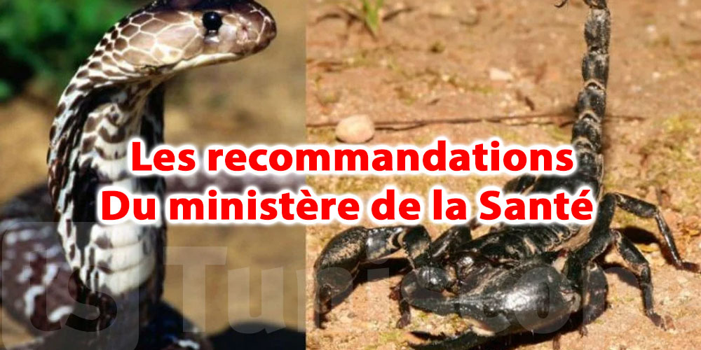 Piqûres de scorpions et morsures de serpents, que faire?