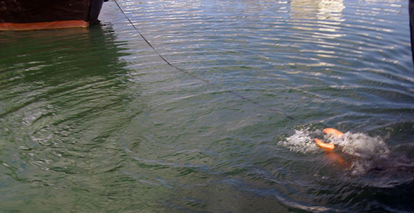 record-081115-3.jpg