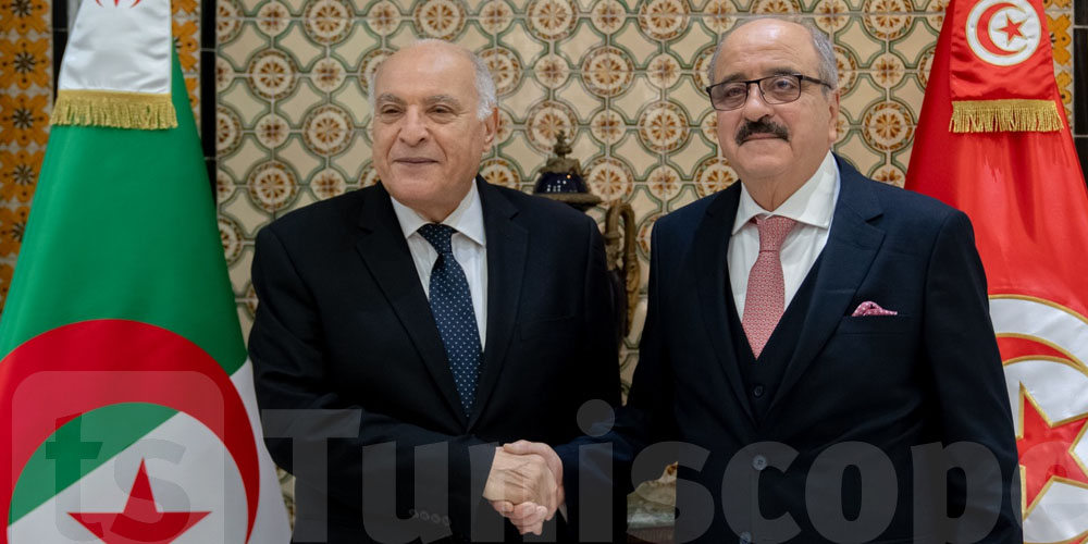 تونس والجزائر تتفقان على أهمية التنسيق والتشاور على جميع المستويات