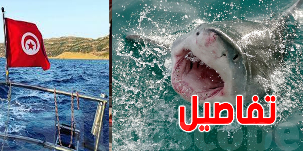 هل يوجد قروش في السواحل التونسية ؟