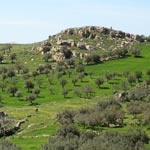 Indice de bonne gouvernance des ressources naturelles : La Tunisie classée 28ème sur 59 pays