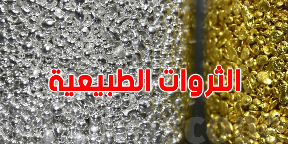 بينهم دولتان عربيتان ... شوف أغنى دول العالم بالثروات الطبيعية