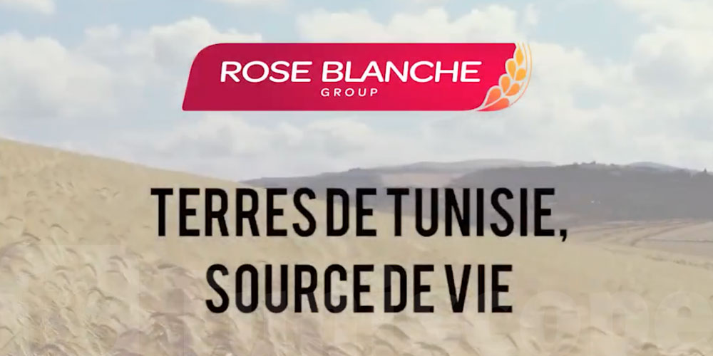 Le Groupe LA ROSE BLANCHE vise la totalité des actions SOPAT : Lancement d'une Offre Publique de Retrait