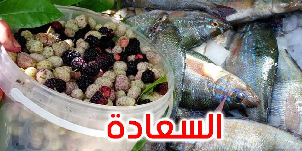 زميمرة و توت : إكتشف سر السعادة في بنزرت خلال هذه الأيام