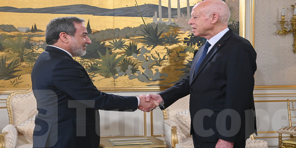 في لقائه بوزير الخارجية الإيراني: قيس سعيد يدعو إلى وحدة الأمة ومجابهة الفتنة