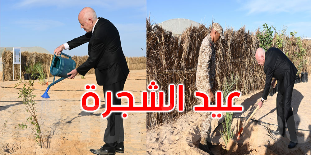  صور: رئيس الجمهورية يشرف على الاحتفال بالعيد الوطني للشجرة في قبلي