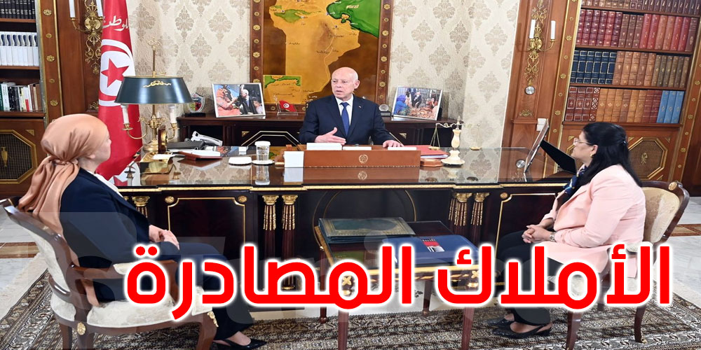 قيس سعيد: ملف الأملاك المصادرة طال أكثر من اللزوم ويجب أن يغلق