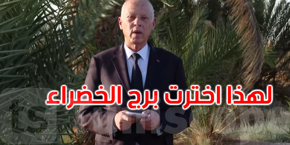 قيس سعيد يعلن ترشحه للانتخابات الرئاسية: لو خُيّرت لما اخترت ولكن...