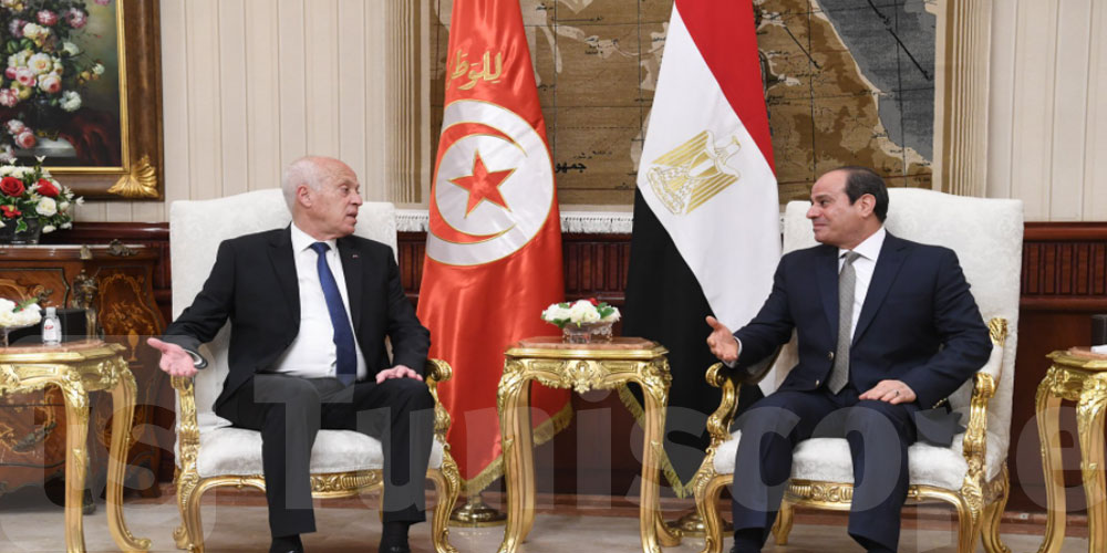 صور: خلافا للعُرف: العلم التونسي جنبا إلى جنب مع المصري في لقاء سعيد والسيسي