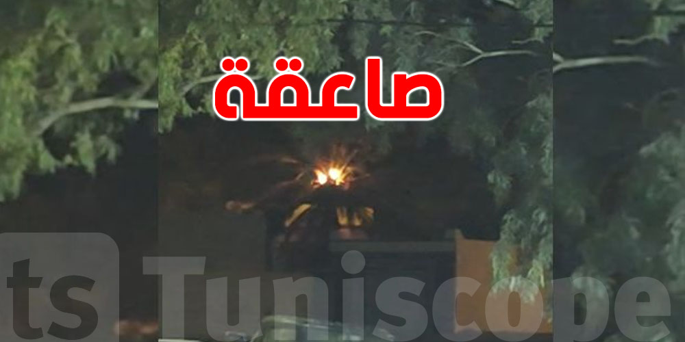 صاعقة تحرق نخلة في قفصة وسط أمطار ورعد قوي