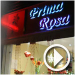 En Vidéo : Prima Rosa ou quand la fleur est élevée au rang de produit culturel
