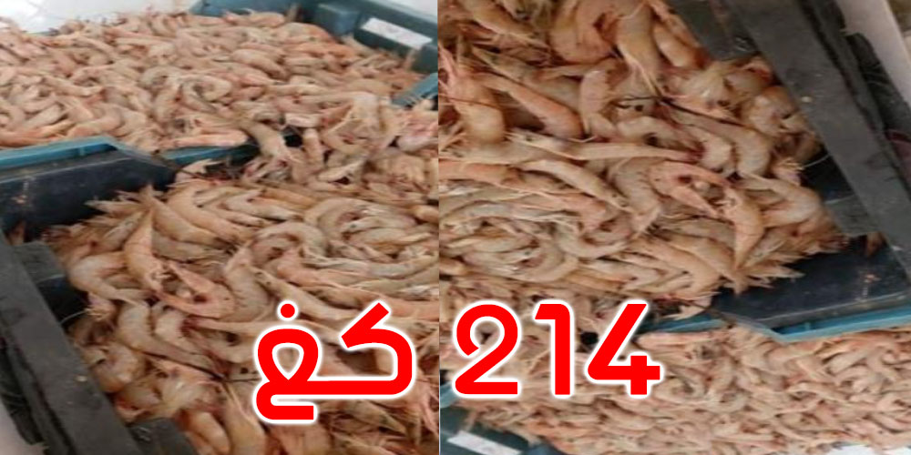 المنستير: حجز 214 كغ من جراد البحر و100 كغ من العسل مجهولة المصدر