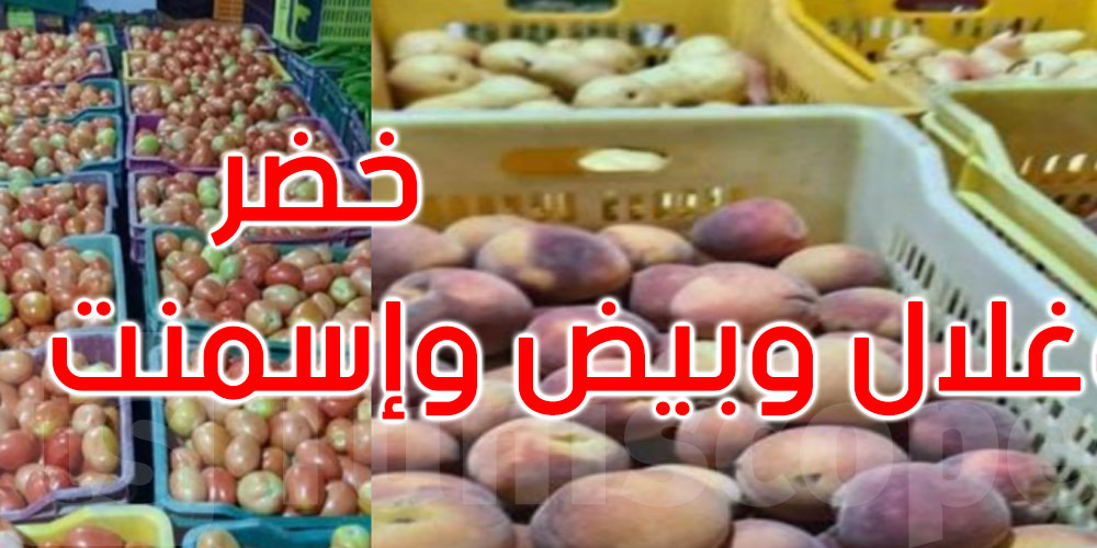 تونس: حجز 62 طنا من الخضر والغلال و63 ألف بيضة وو25 طنا من الإسمنت