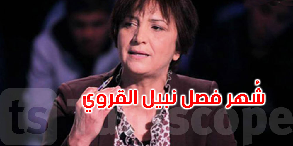 سامية عبو: تم إيداع الطعن في عدم دستورية الفصل الرابع