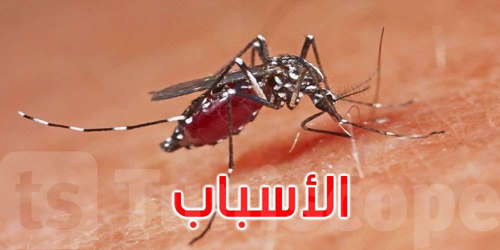 لماذا يحبك البعوض أكثر من غيرك؟.. العلم يجيب