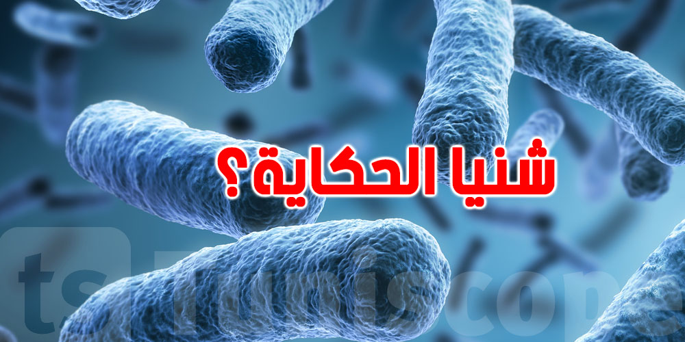 عاجل : لأول مرة ...منظمة الصحة العالمية تكشف عن أخطر الأمراض المعدية