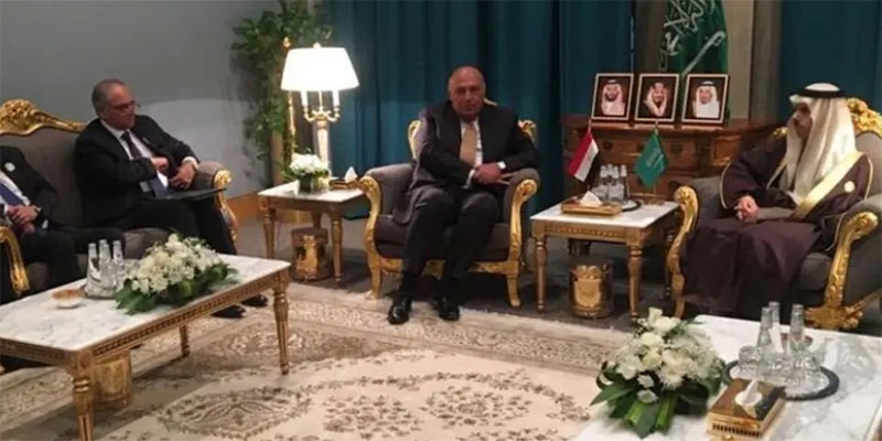السعودية ومصر تتفقان على رفض التصعيد التركي في ليبيا