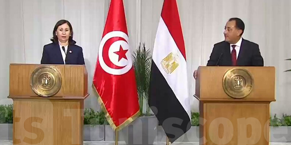 المنتدى المصري التونسي: فرص تخدّم الفلّاح، المستثمر والشاب التونسي
