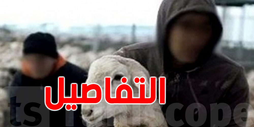 منزل تميم: عصابة تسرق المواشي وتبيعها ''لحما''