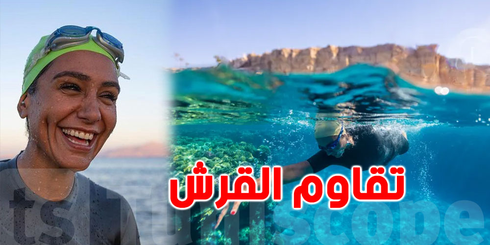 طبيبة سعودية تقاوم القرش وتسبح بين بلادها ومصر