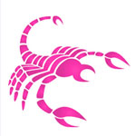 Horoscope 2011 : Scorpion