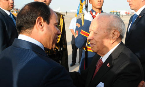 sebsi-021015-v.jpg