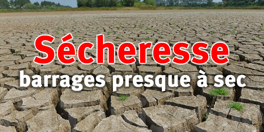 Sécheresse en Tunisie : Des barrages presque à sec