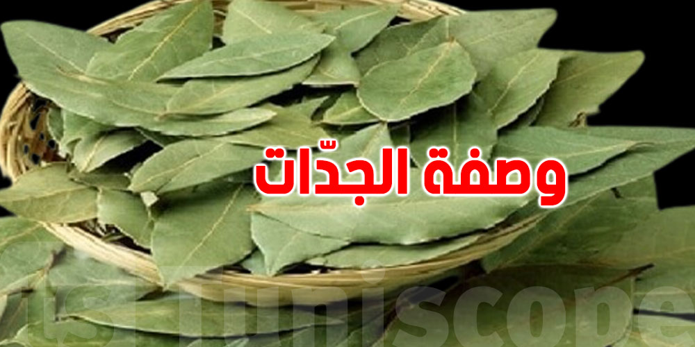 شعرك شايح وتاعب؟ السر في ورقة خضراء من وقت الجدات