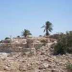 Jerba : Un agriculteur découvre par hasard une maison romaine sur ses terres