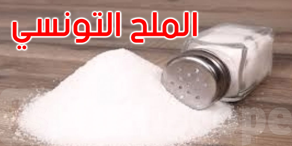 إيقاف دخول الملح التونسي إلى ليبيا: وزارة التجارة توضح
