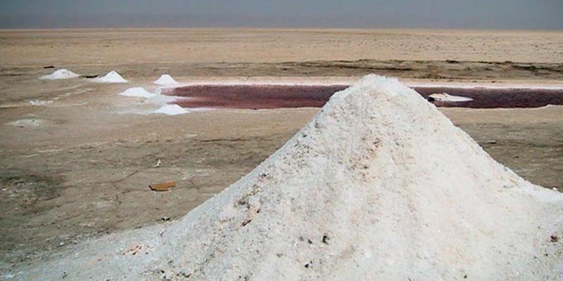 Youssef Chahed décide de ne pas renouveler le contrat du sel