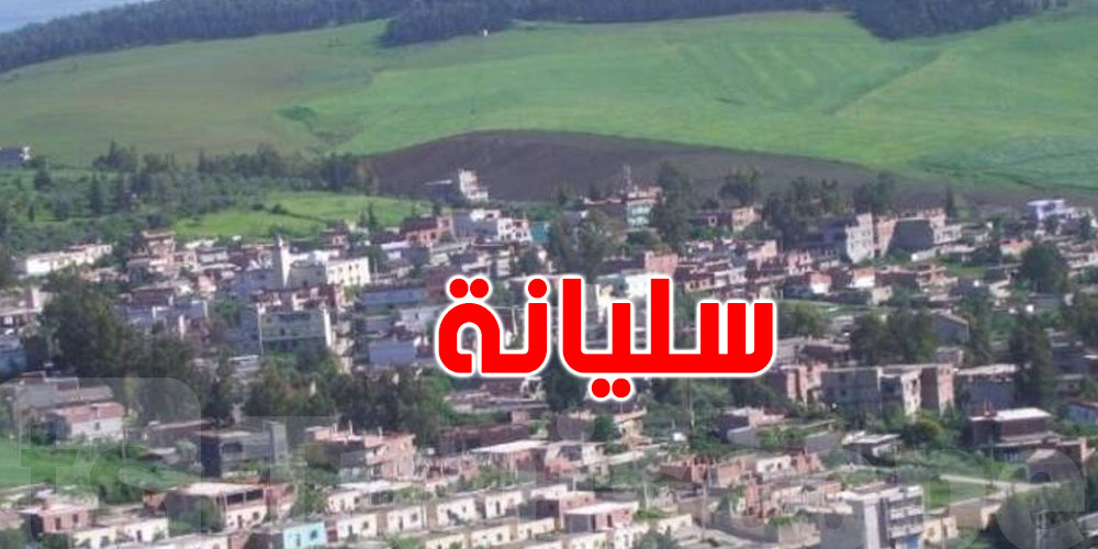احتجاجات في ولاية سليانة بسبب الاعتداءات المتكررة على الموظفين