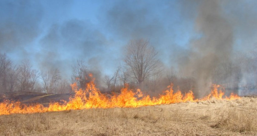 سليانة: حريق يأتي على حوالي 33 هكتار من صابة الحبوب