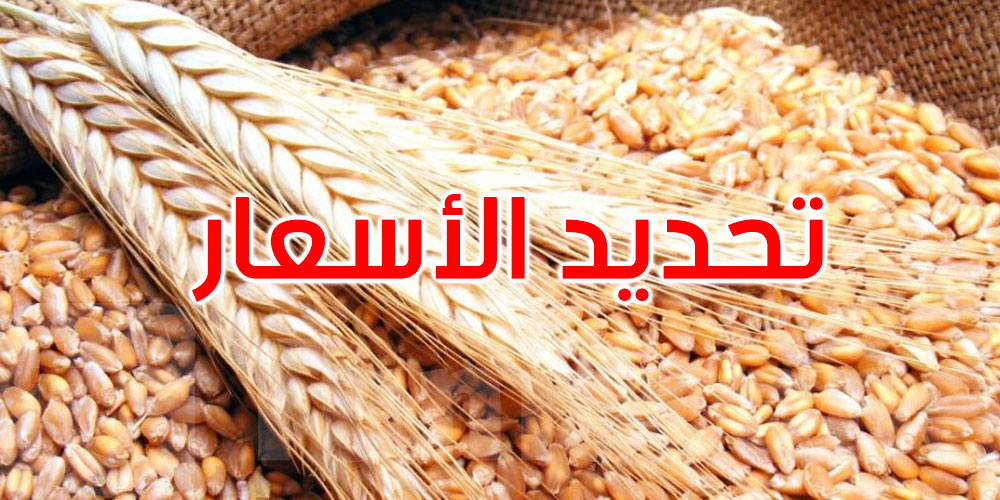 موسم الحبوب 2023/2024: وزارة الفلاحة تحدد أسعار البذور الممتازة والعادية