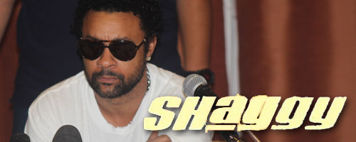 shaggy-160713-1.jpg