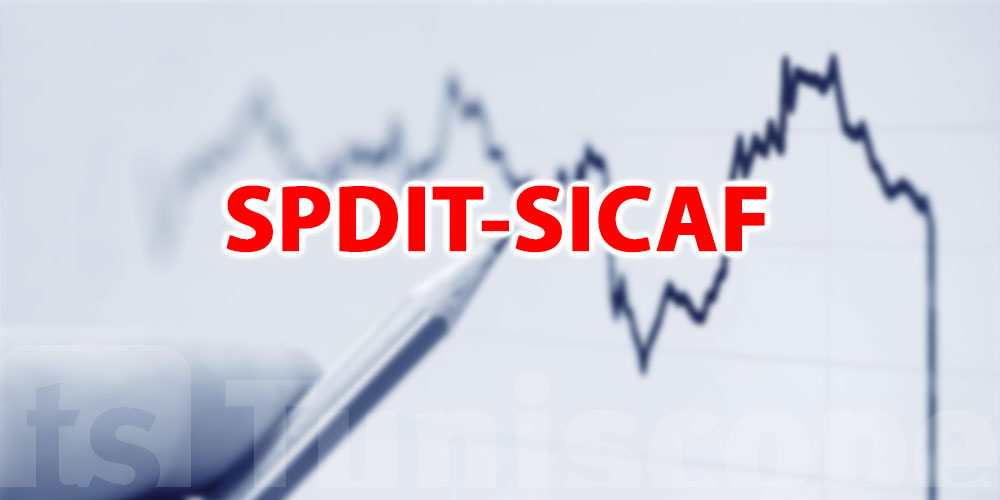 Sikaf Placements de Tunisie – SICAF : des revenus en hausse de 85 % au ...