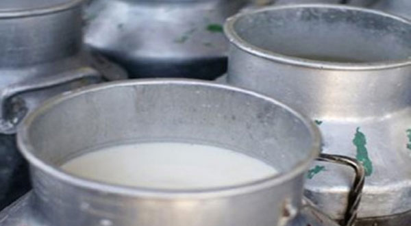 سيدي حسين : الكشف عن محل عشوائي معد لصنع وبيع الحليب ومشتقاته